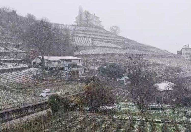 Fotos von Pascale Haus