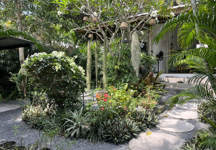 Pictures of Frank's house