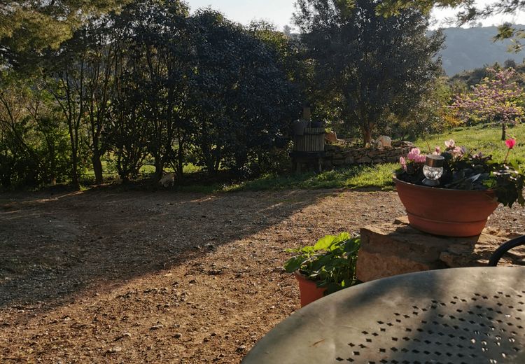 Des photos de la maison de Max