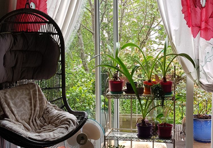 Pictures of Cosette M.'s house