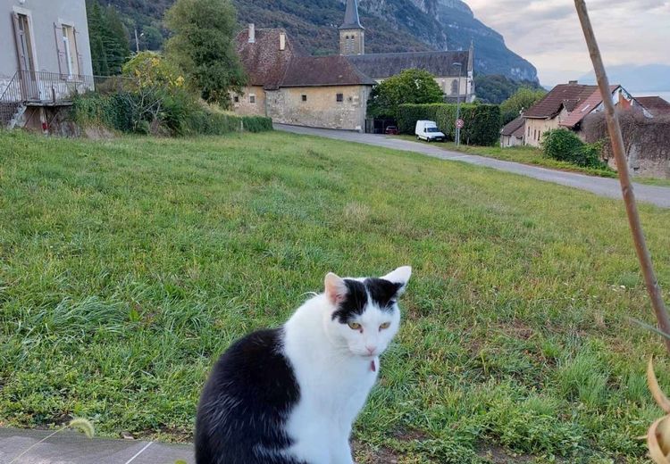 Des photos de la maison de Rogier & Sylviane