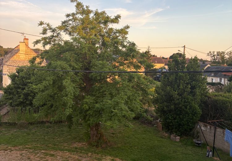 Pictures of Emma's house