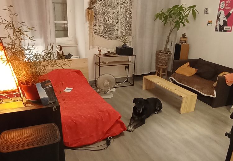 Pictures of Louane S.'s house