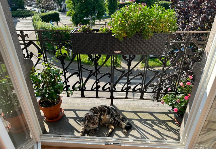 Fotos von Snezhanka K. Haus