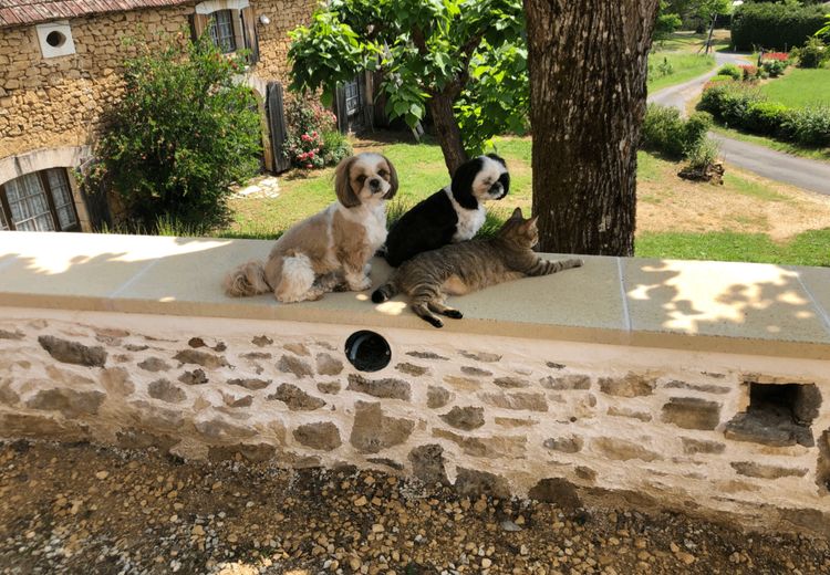 Des photos de la maison de MARIE