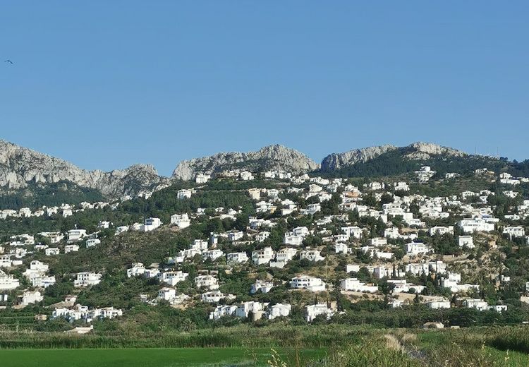 Pictures of Caro's house