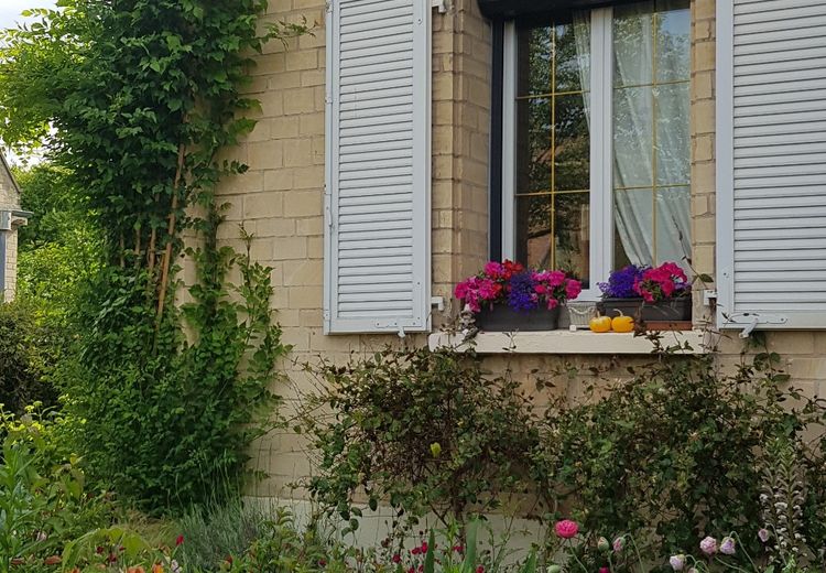 Pictures of Cosette M.'s house