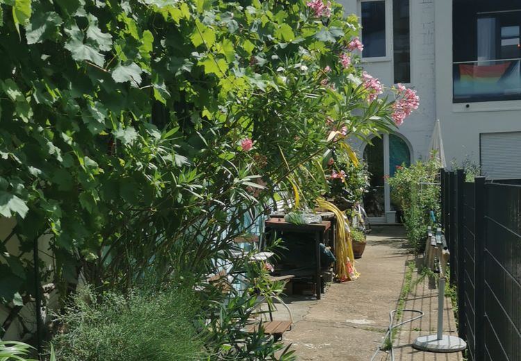 Pictures of Bettina Maria's house