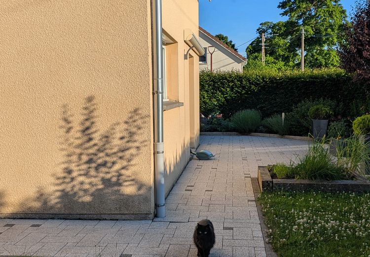Des photos de la maison de Adeline P.