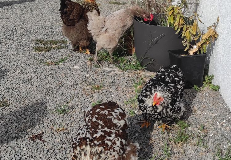 Des photos de la maison de Pauline