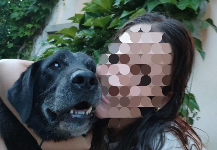 Des photos de la maison de OPHELIE et LAURENT