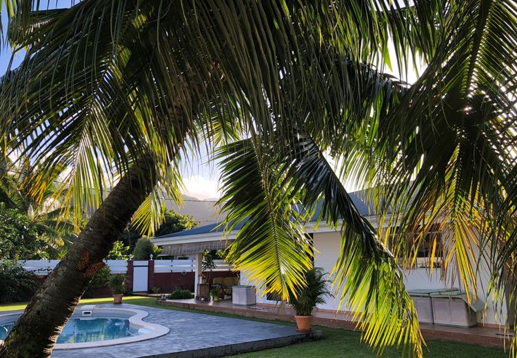 Pictures of Anne S.'s house