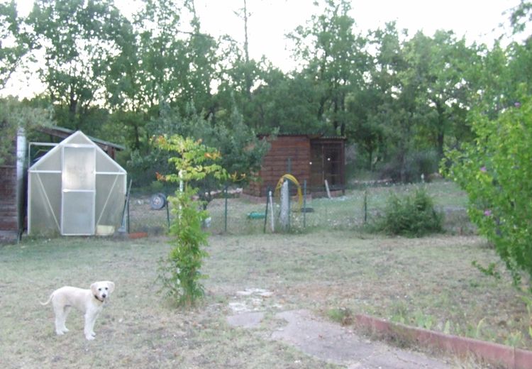 Pictures of patrick S.'s house