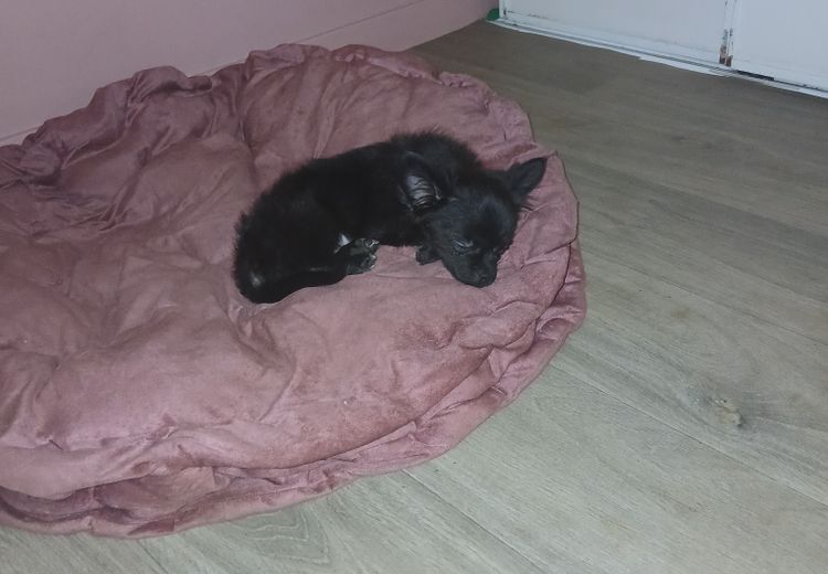 Fotos von Lalaina Haus