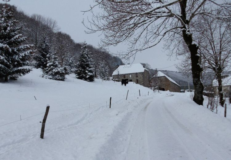 Des photos de la maison de Marie-France M.