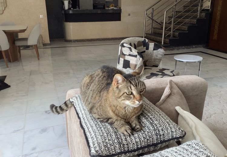 Pictures of Olivier  M.'s house