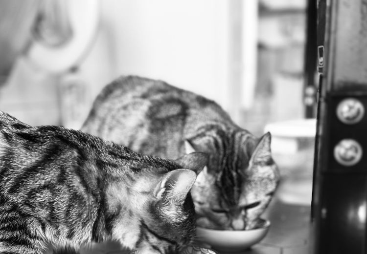 Des photos de la maison de Melanie