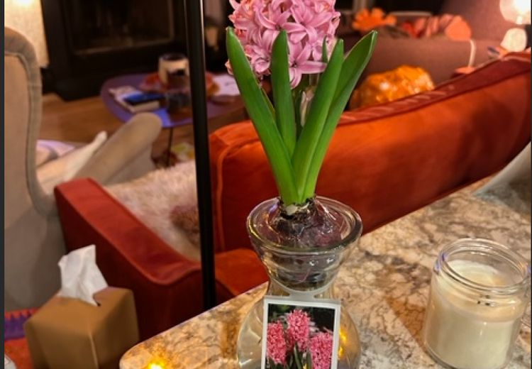 Pictures of Kim A.'s house