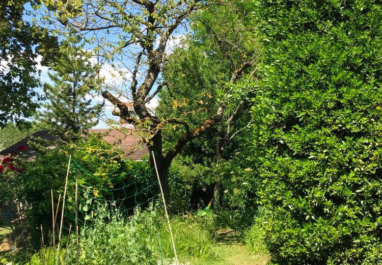 Des photos de la maison de Stephanie F.