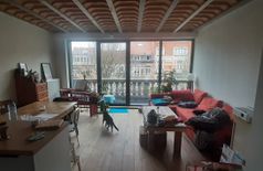 Apartment with 1 cat in Brussels