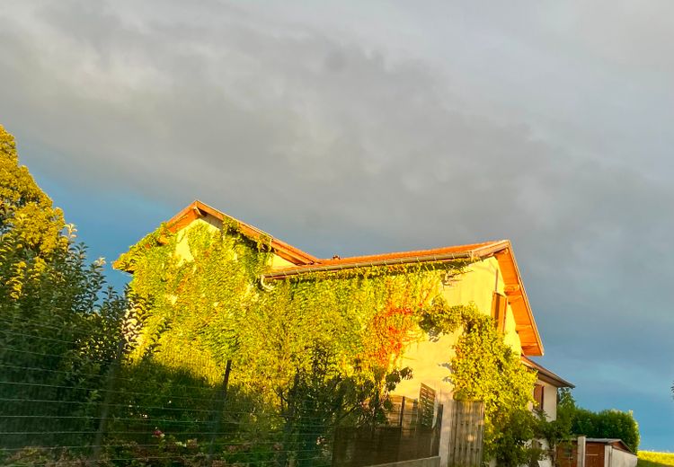 Des photos de la maison de Sophie D.