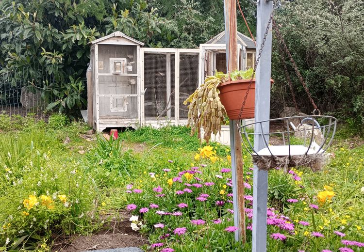 Des photos de la maison de Brigitte M.