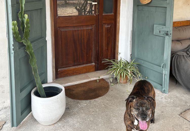 Des photos de la maison de Cristina R.