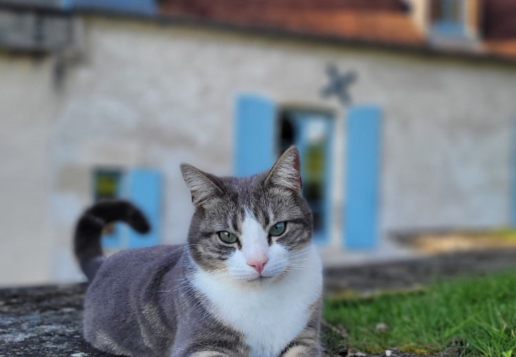 Des photos de la maison de FPMM