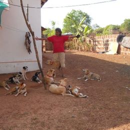 Pictures of Shima H.'s house