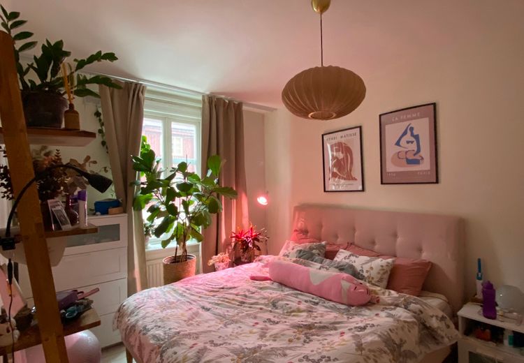 Des photos de la maison de Lucy Z.