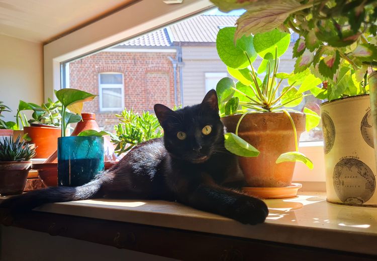 Des photos de la maison de amélie D.