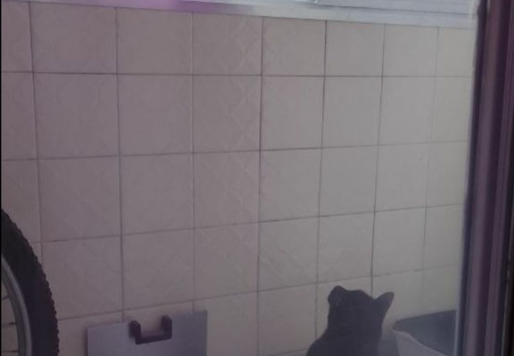 Pictures of Kelly's house