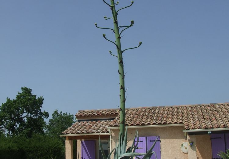 Pictures of ROBERT M.'s house