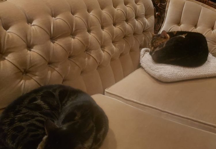 Fotos von Stéphanie Haus