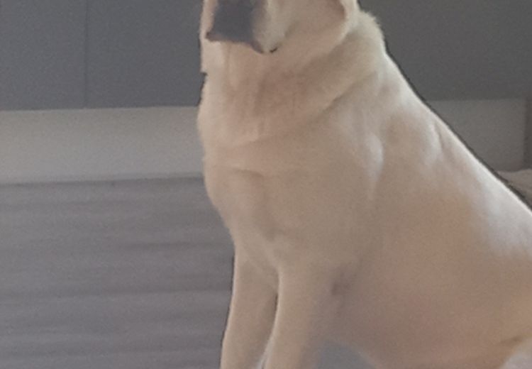 Fotos von NANNY Haus