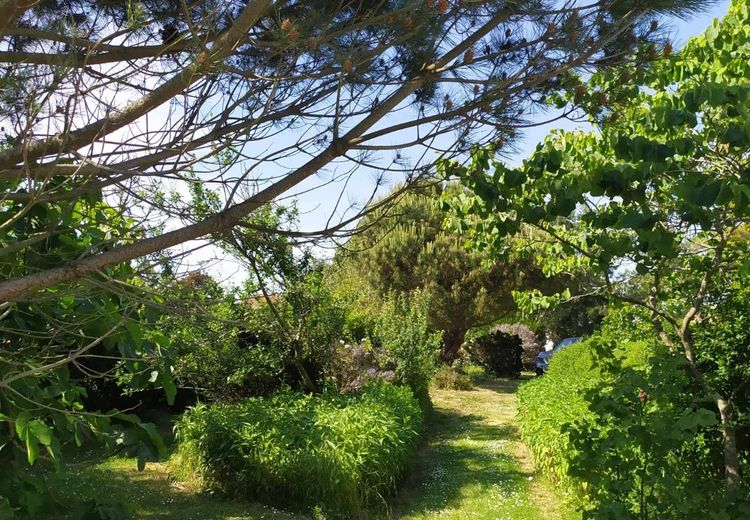 Des photos de la maison de Martine