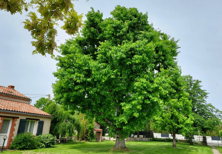 Des photos de la maison de Sylviane J.