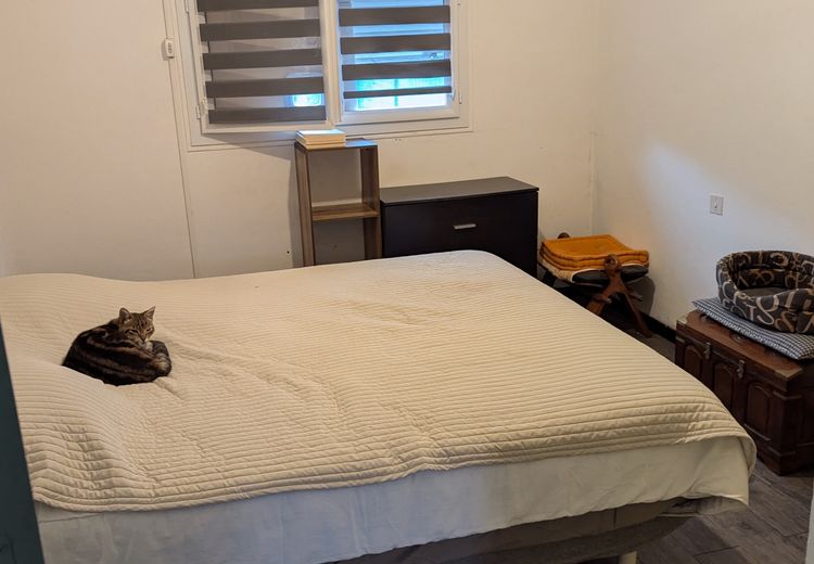Pictures of marc's house