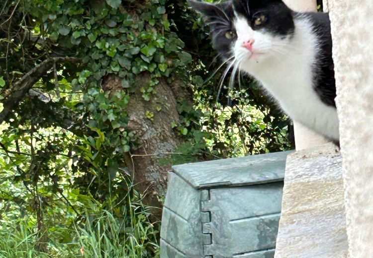 Pictures of Lucie - Profil, photos et annonce en cours's house