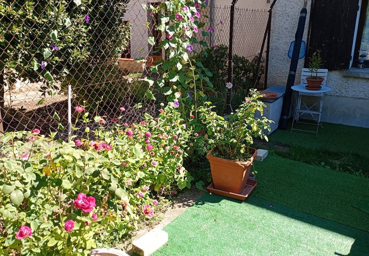 Pictures of SYLVIE's house