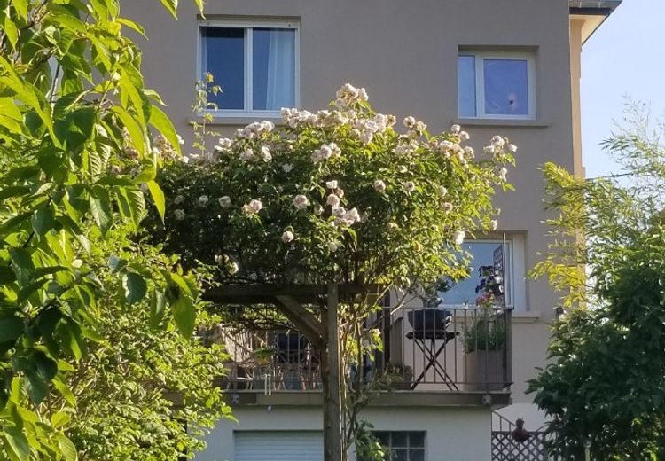 Pictures of catherine M.'s house