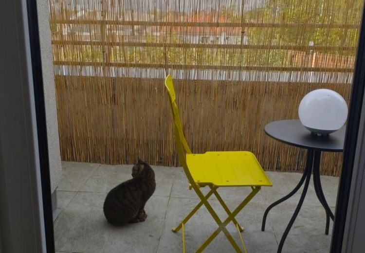 Pictures of Verónica G.'s house