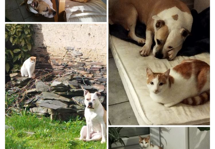 Pictures of Nathalie H.'s house