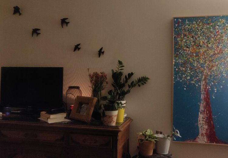 Pictures of Sofia R.'s house