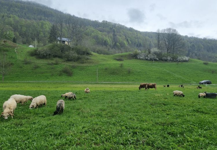 Pictures of Florent's house
