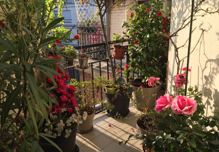 Des photos de la maison de Michele C.