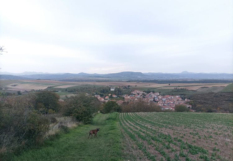 Des photos de la maison de Alexia T.