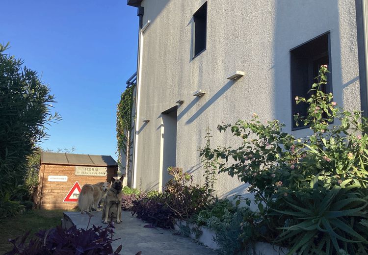 Pictures of Michelle M.'s house