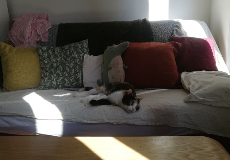 Fotos von Aline D. Haus