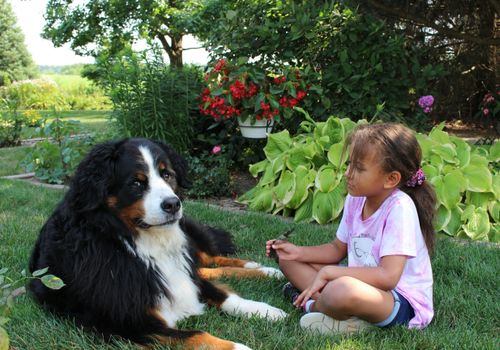 Vacances en famille autrement : partager un foyer, des animaux, et des souvenirs grâce au home-sitting.